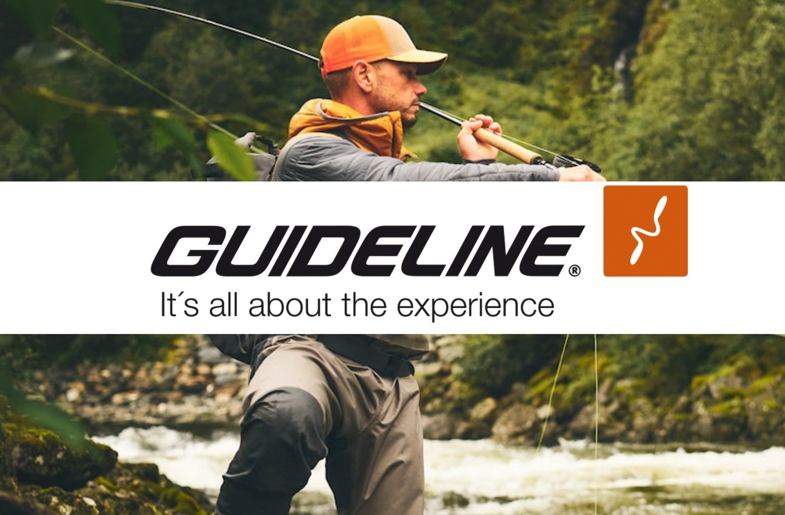 Guideline