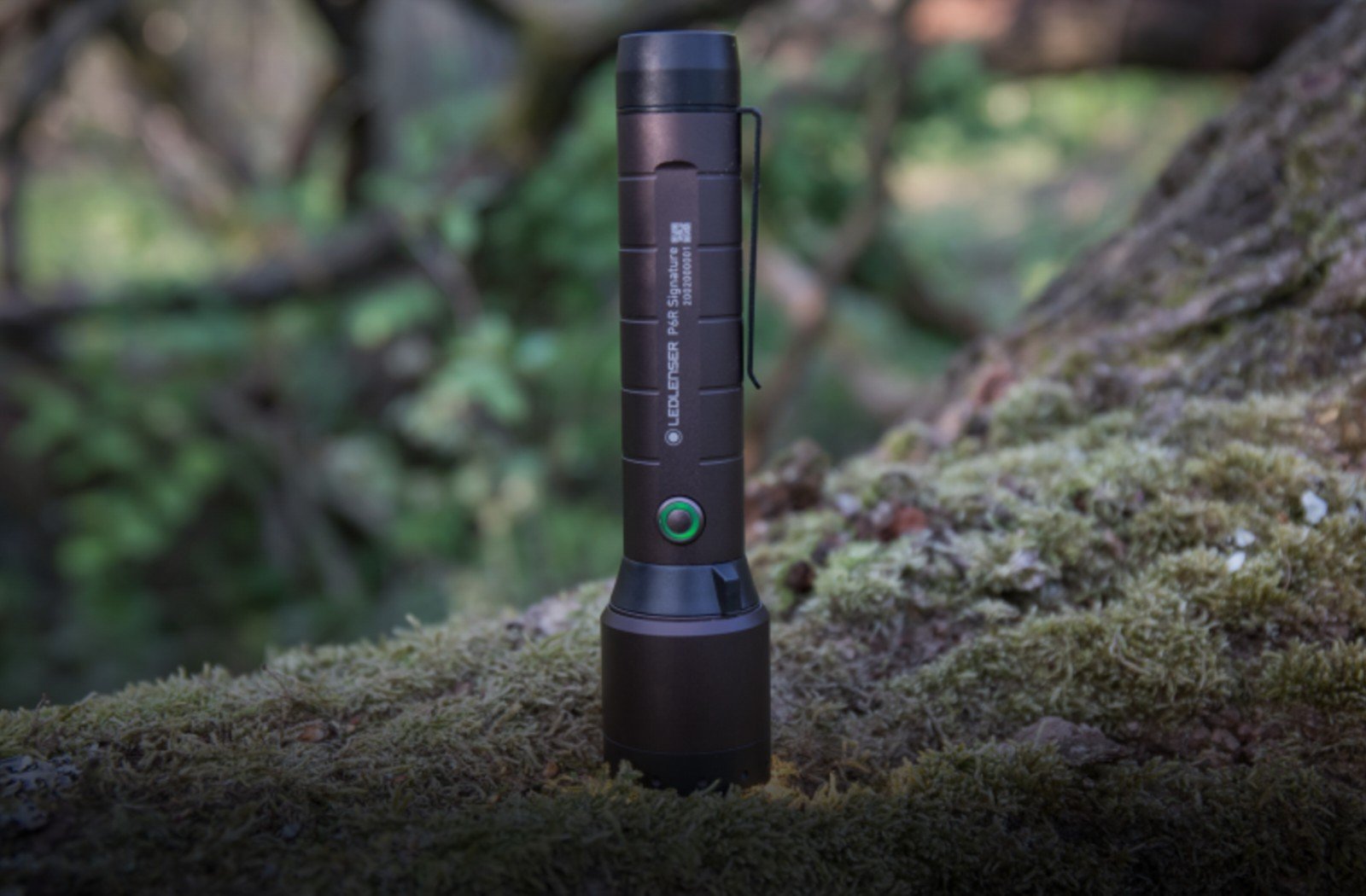 Lygter og Pandelamper