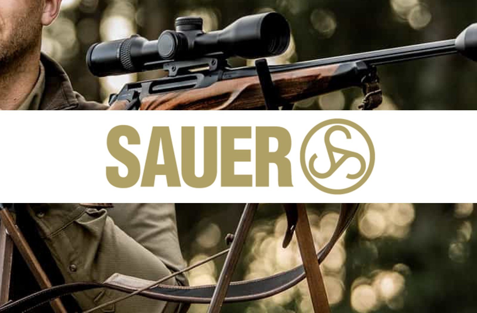 Sauer