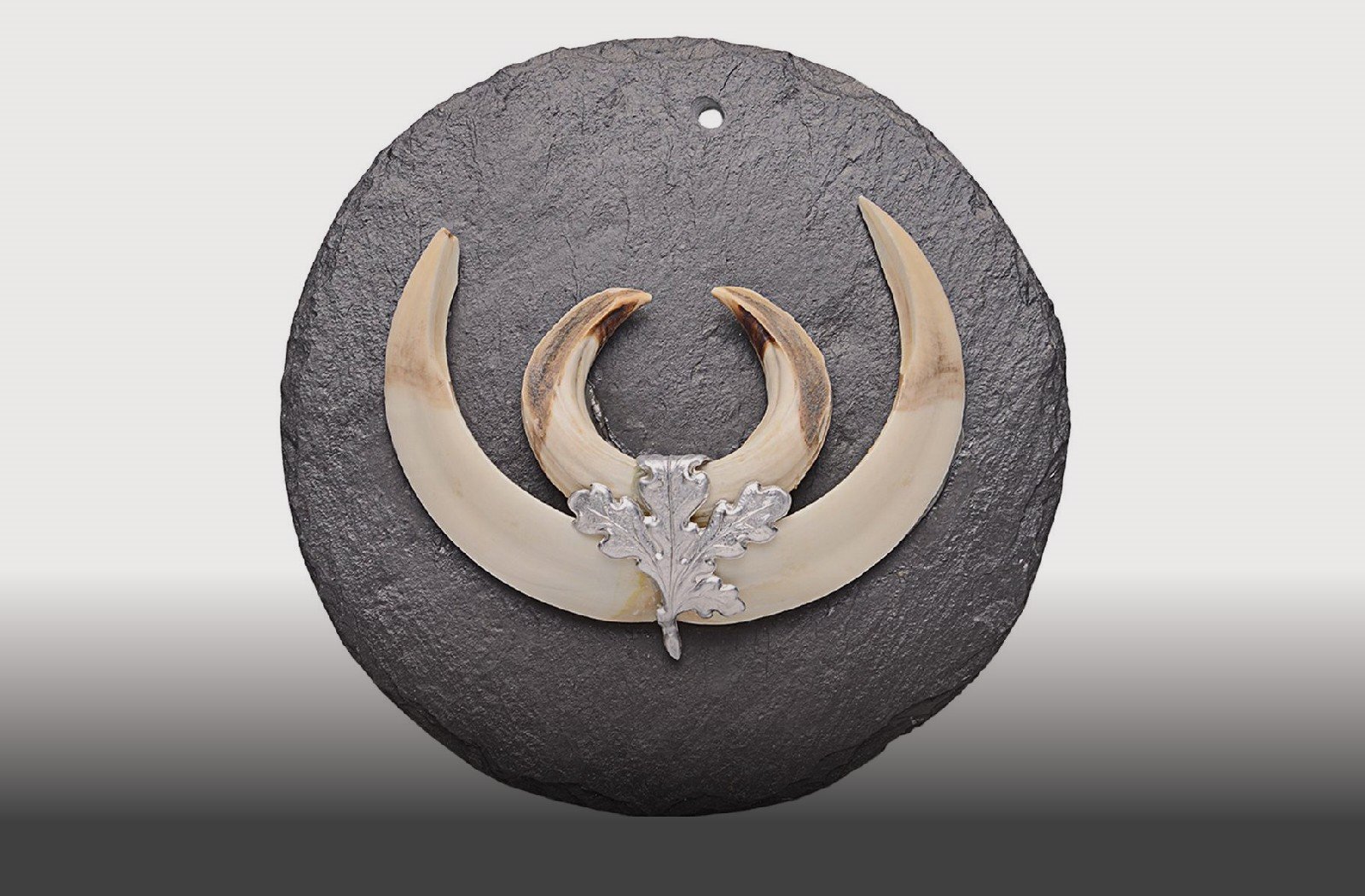 Trof&aelig; plader i skifer