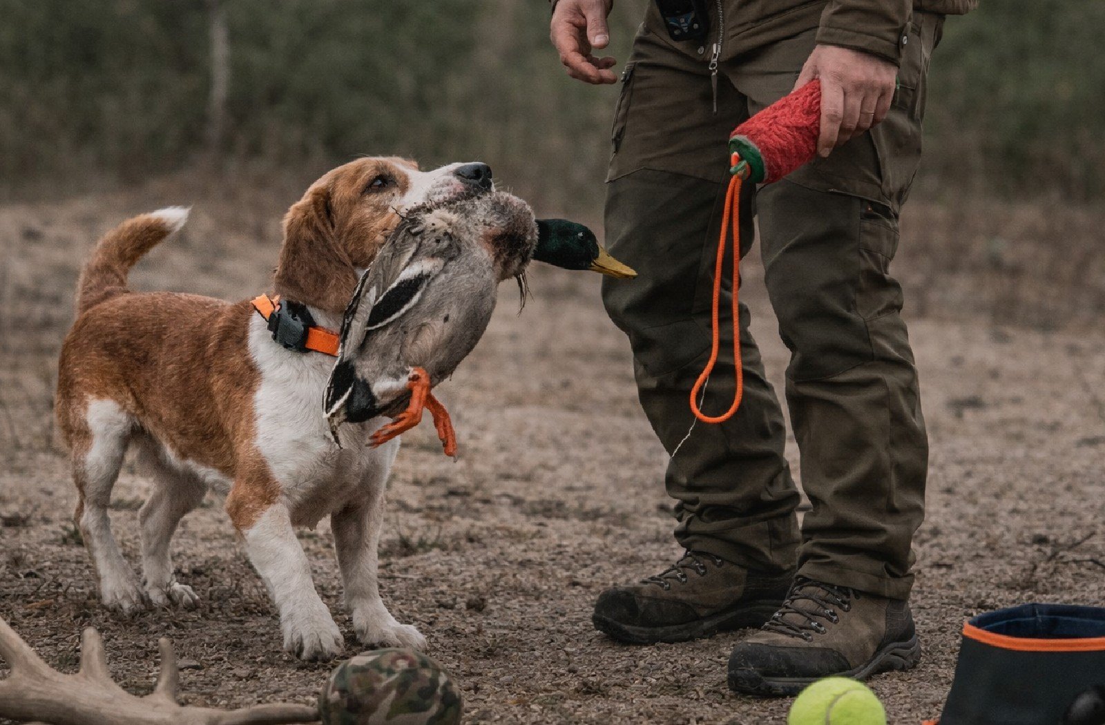 Tr&aelig;ning og leg
