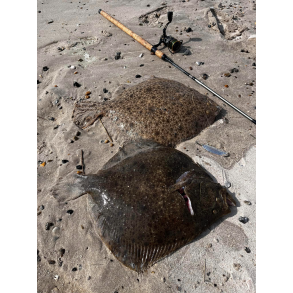 Godt grej til Pighvar