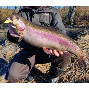 Populært Put & Take grej