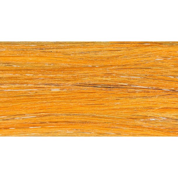 FutureFly Salmo Flash