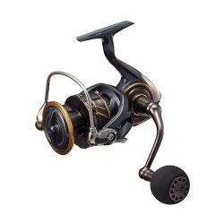 Daiwa 22 Caldia SW LT 