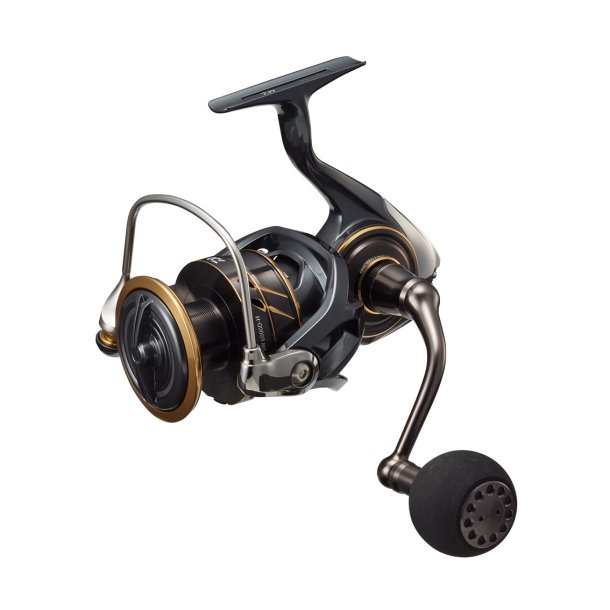 Daiwa 22 Caldia SW LT 