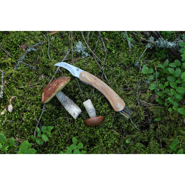 Brusletto Vedalen Svampekniv