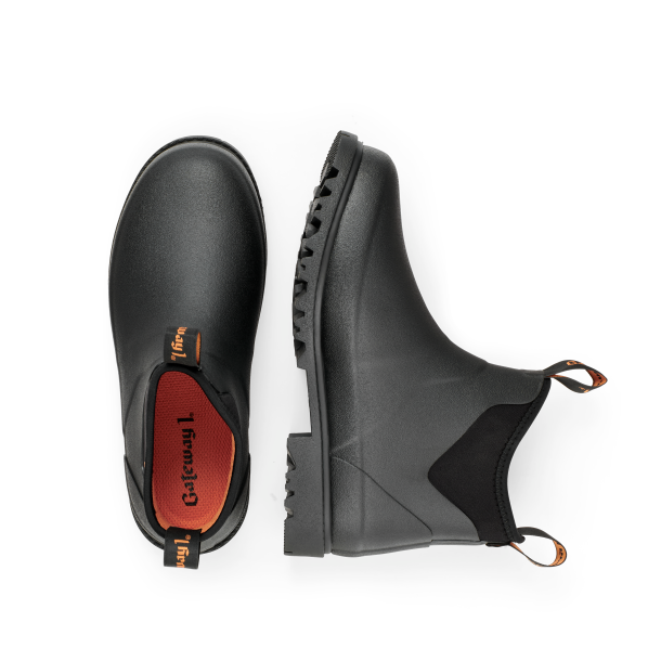 Gateway Ascot lady II 6"