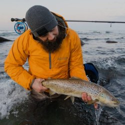 Vision Atom Kangaroo