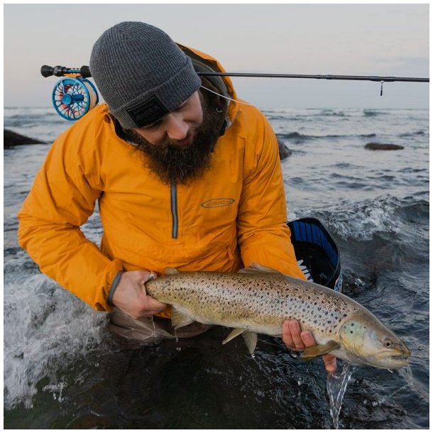 Vision Atom Kangaroo