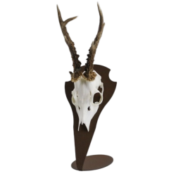 Torp Buk borddisplay