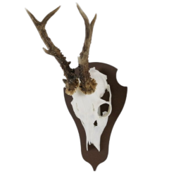 Torp Opsatsplade til buk Corten