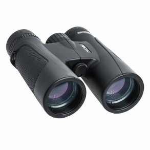  Focus Bright 10x42