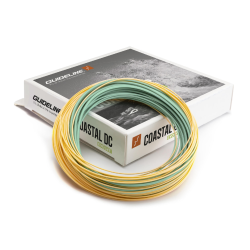 Guideline Coastal Evolve WF