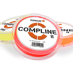 Guideline Compline 2