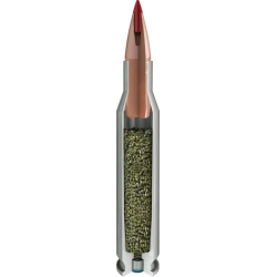 Hornady CX Outfitter - Blyfri 20stk.