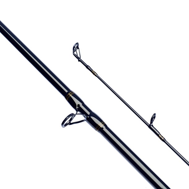 Daiwa Laguna XT Baitcasting