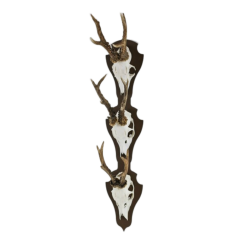 Torp Solution 3 Bukke Lodret Corten