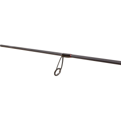 Quantum Magic Trout Cito