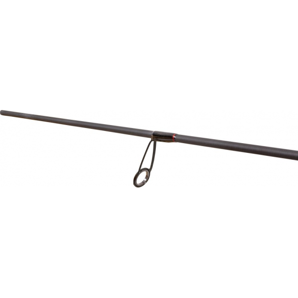 Quantum Magic Trout Cito