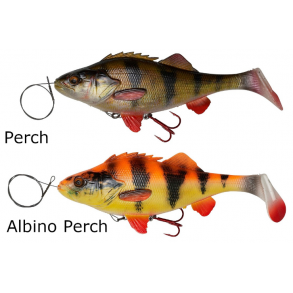 SG 4D Perch Shad