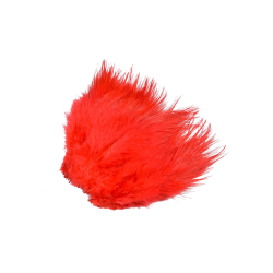 Frdin Pheasant Rump Feathers 