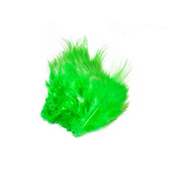 Frdin Pheasant Rump Feathers 