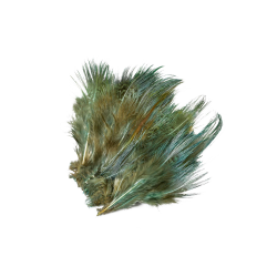 Frdin Pheasant Rump Feathers 
