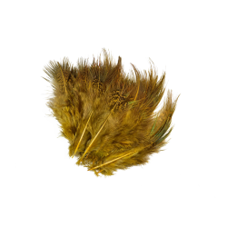 Frdin Pheasant Rump Feathers 