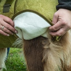 Siccaro Supreme Pro Hunde Trredragt