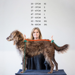 Siccaro Supreme Pro Hunde Trredragt