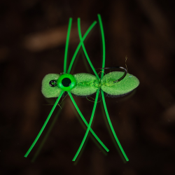 Foam Beetle - skumflue