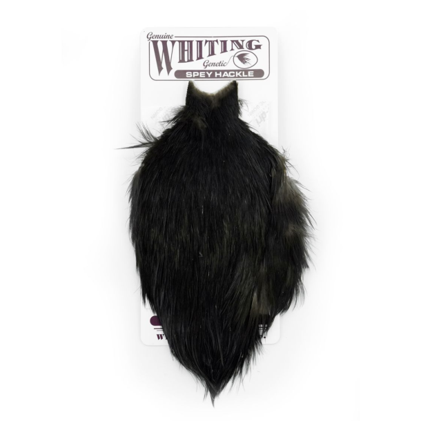 Whiting Spey Hackle Hen Cape