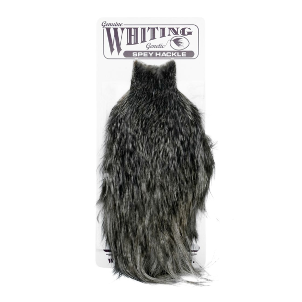 Whiting Spey Hackle Hen Cape