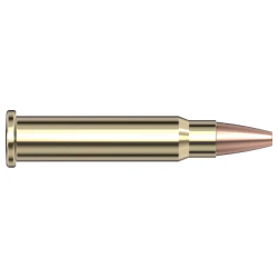 Hornady Varmint Express.17hmr 20gr. XTP - 50 stk.