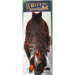Whiting American Hen Cape