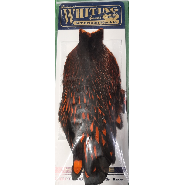 Whiting American Hen Cape