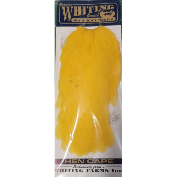 Whiting American Hen Cape