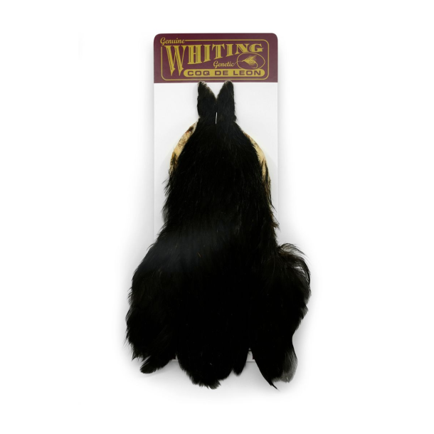 Whiting Coq De Leon Hen cape - Black