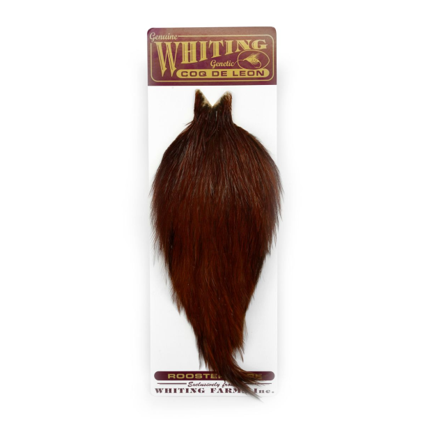 Whiting Coq De Leon Rooster Cape (nakke)