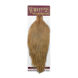 Whiting Coq De Leon Rooster Cape (nakke)