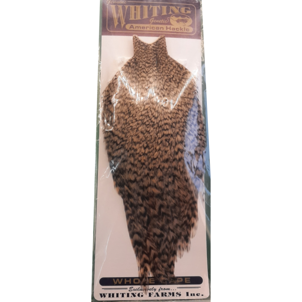 Whiting American Rooster Cape, Grizzly Dyed Tan