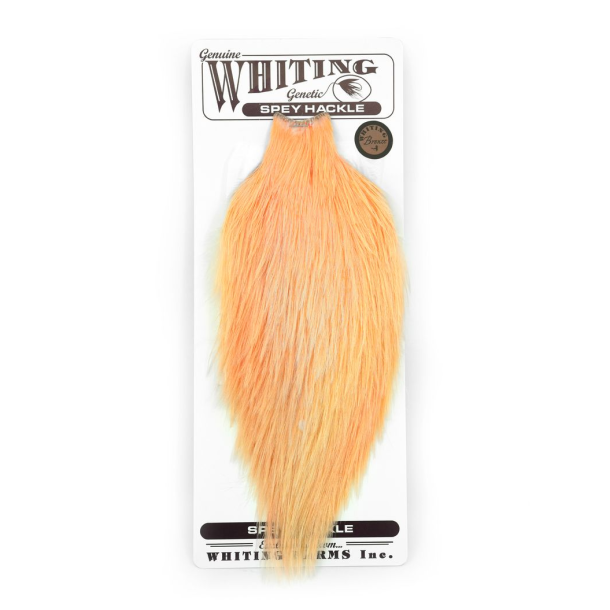 Whiting Spey Hackle Rooster , White Dyed Salmon Pink
