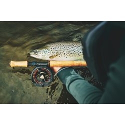 Guideline ULS Switch 2.0