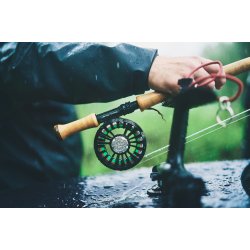 Guideline NT11 Switch 6-delt