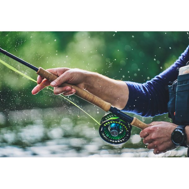 Guideline NT11 Switch 6-delt