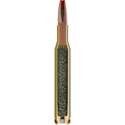 Hornady ECX International Riffelpatron - Blyfri 20stk.