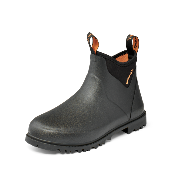 Gateway Ascot lady II 6"