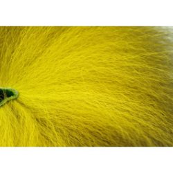 Future Fly Golden Fox