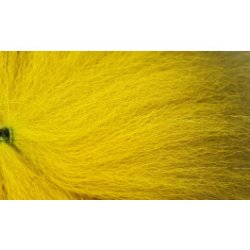 Future Fly Golden Fox